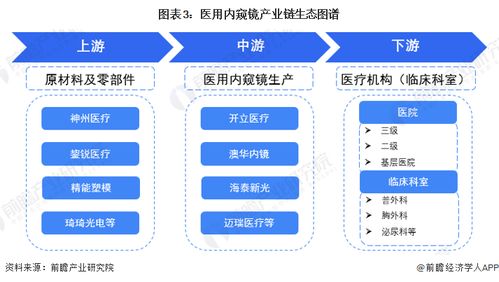 預(yù)見2023 中國醫(yī)用內(nèi)窺鏡行業(yè)全景圖譜與AI應(yīng)用軟件開發(fā)新篇章
